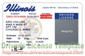 Florida drivers license template psd